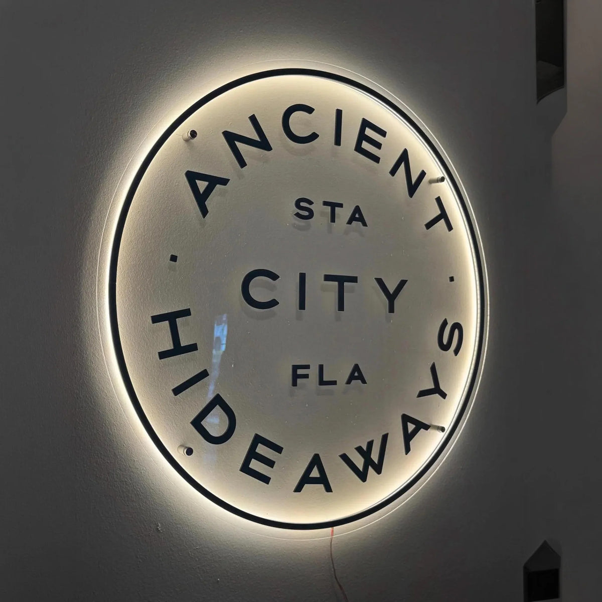 Custom Logo Neon Sign LED Acrylic Business Sign