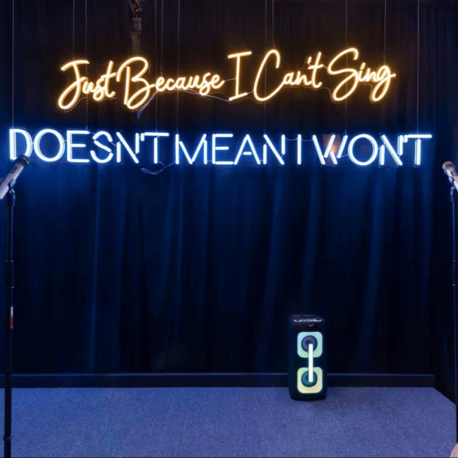 Just Because I Can't Sing Doesn't Mean I Won't
